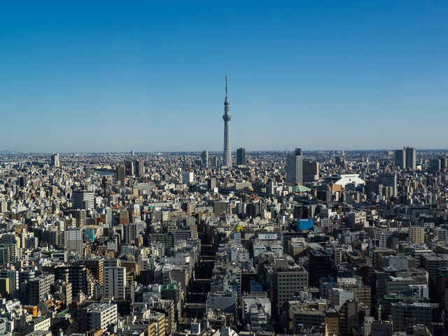 Tokyo daylight tokyotree 1 of 1 640 0.0x0.0x4608.0x3456.0 q85
