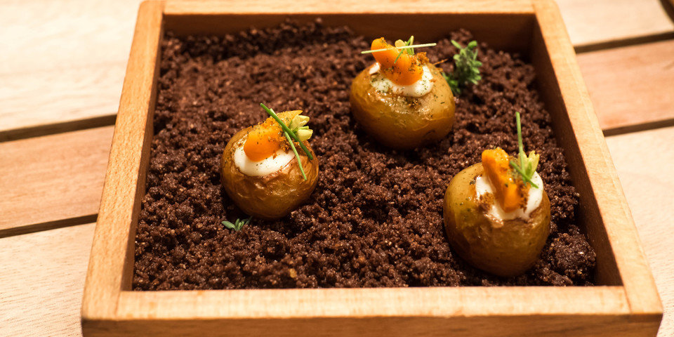 Potato2 960 0.0x787.2666666666655x4499.0x2249.3333333333344 q85