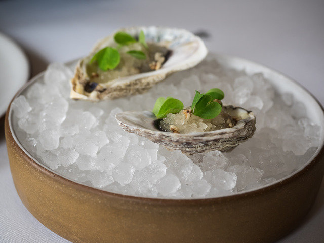 Emp oyster 640 0.0x0.0x4608.0x3456.0 q85