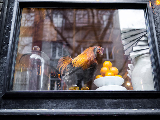 Buvette window 1 of 1 640 0.0x0.0x4608.0x3456.0 q85