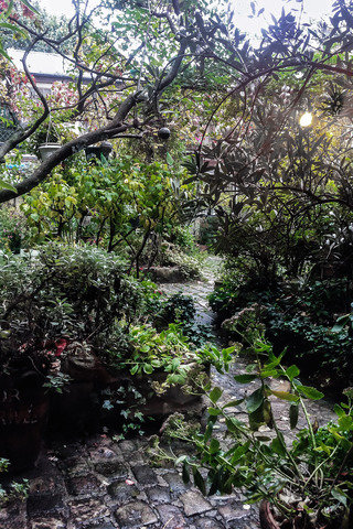 Septime garden 1 of 1 320 137.70000000000002x0.0x2177.6203124999997x3264.0 q85