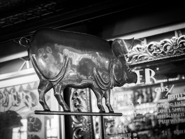 Raw spottedpig havardp4191171 640 0.0x0.0x4550.0x3413.0 q85