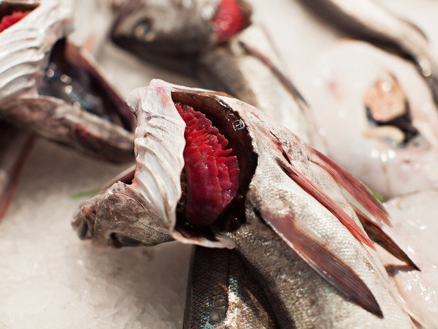 Se sansebastian 0813 0234 640 315.90000000000003x0.0x4984.2x3744.0 q85